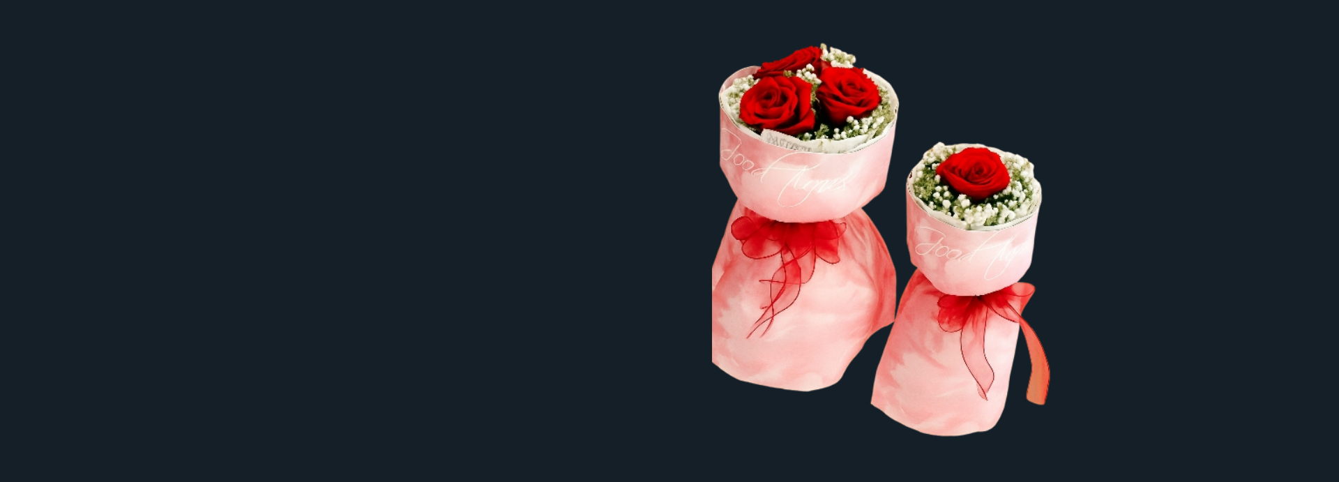 Image Slider